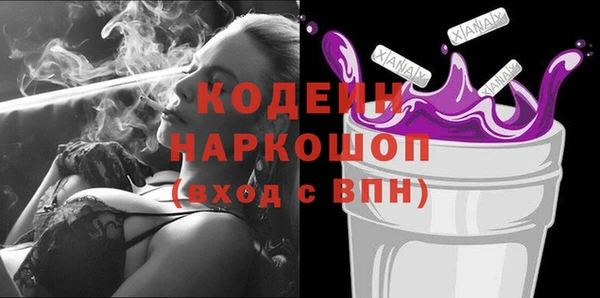 шишки Дмитриев