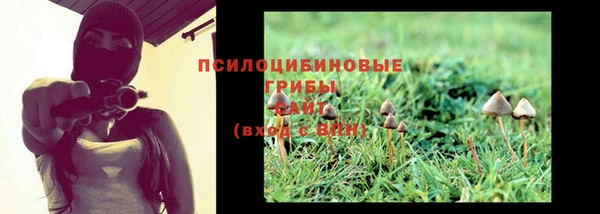 шишки Дмитриев