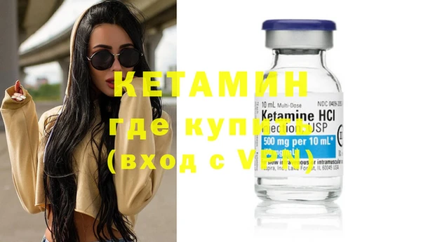шишки Дмитриев