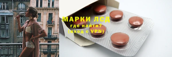 шишки Дмитриев