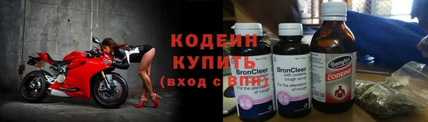 шишки Дмитриев