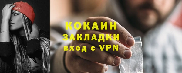 шишки Дмитриев