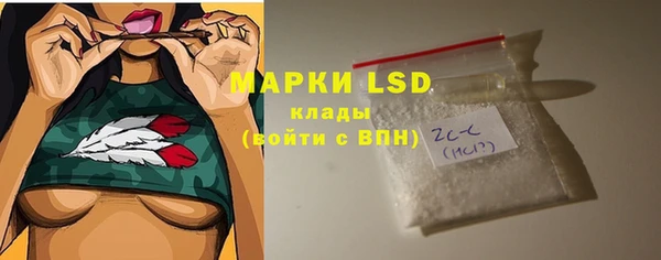 шишки Дмитриев