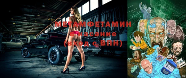 шишки Дмитриев