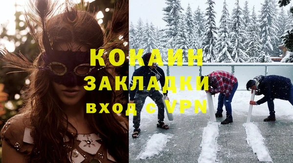 шишки Дмитриев