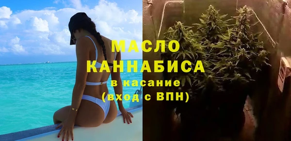 шишки Дмитриев