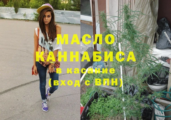 шишки Дмитриев