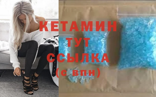 шишки Дмитриев