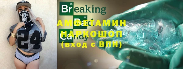 шишки Дмитриев