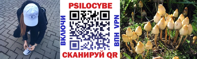 Купить где  Нягань  Галлюциногенные грибы прущие грибы 